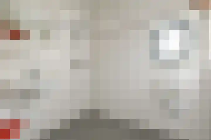 Marcantilaan 420 Amsterdam thumbnail 25