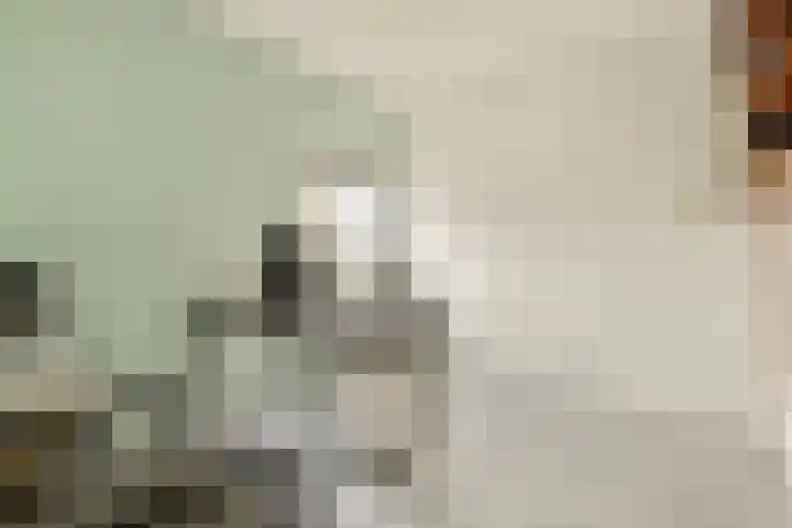 Marcantilaan 420 Amsterdam thumbnail 27