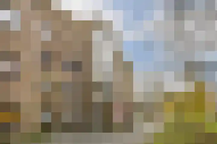 Marcantilaan 420 Amsterdam thumbnail 4