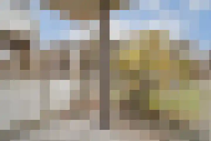 Marcantilaan 427 Amsterdam thumbnail 9