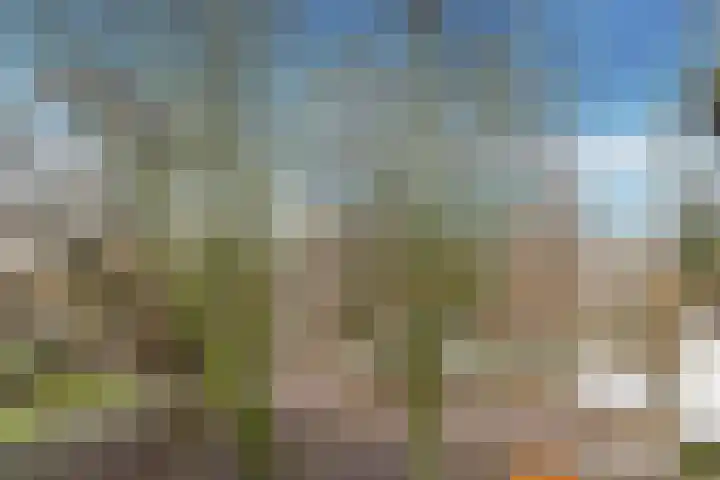Marcantilaan 456 Amsterdam thumbnail 8