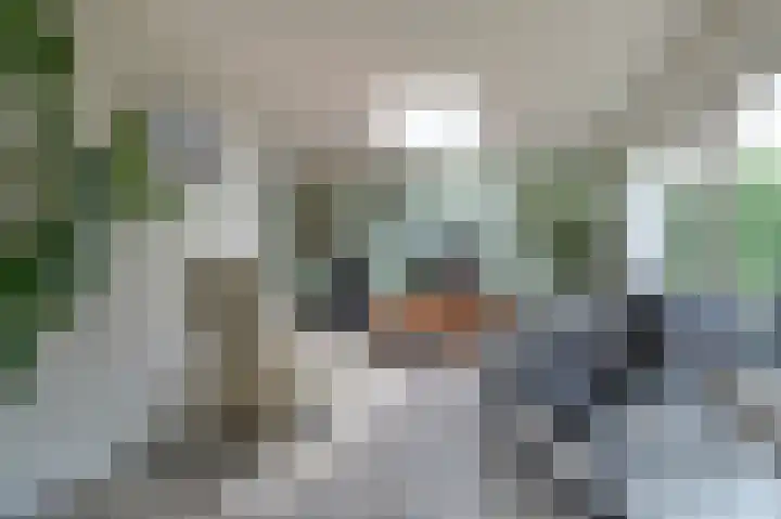 Marcelisstraat 25 Hoogersmilde thumbnail 10