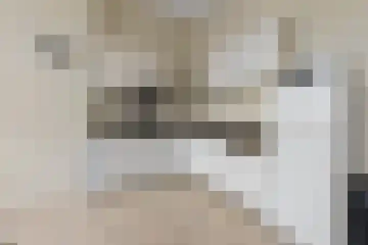 Marcelisstraat 259 B Den Haag thumbnail 7