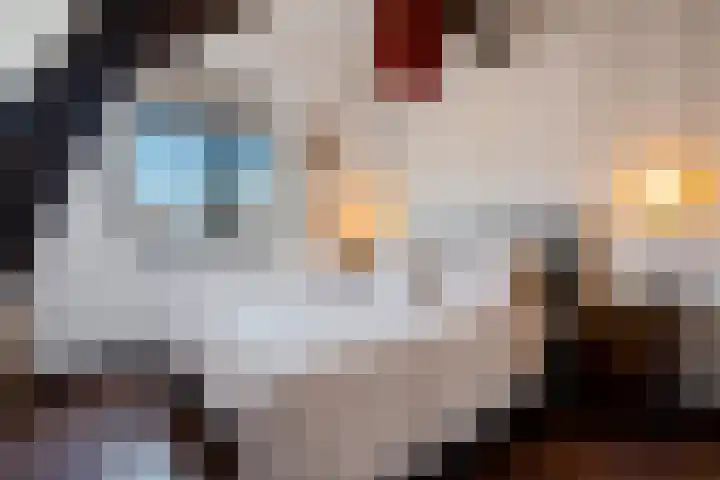 Marcellusstraat 2 Noordwijk thumbnail 29