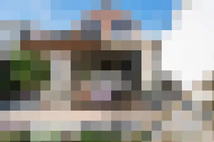 Marcellusstraat 2 Noordwijk thumbnail 41