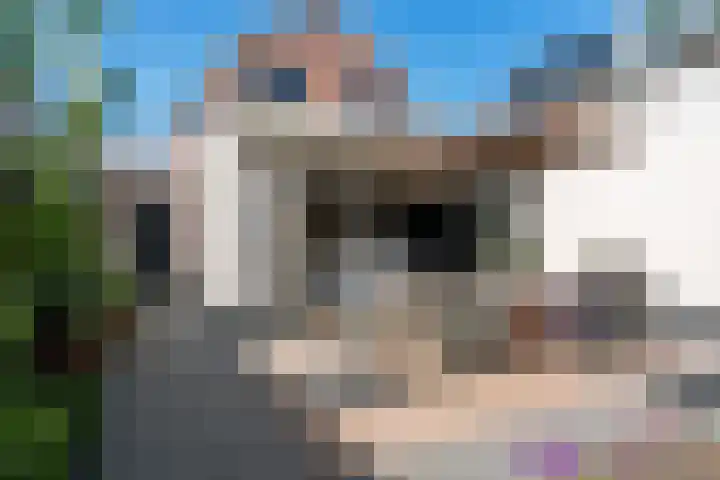 Marcellusstraat 2 Noordwijk thumbnail 57