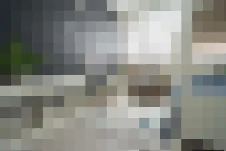 Marconihof 5 Beverwijk thumbnail 15