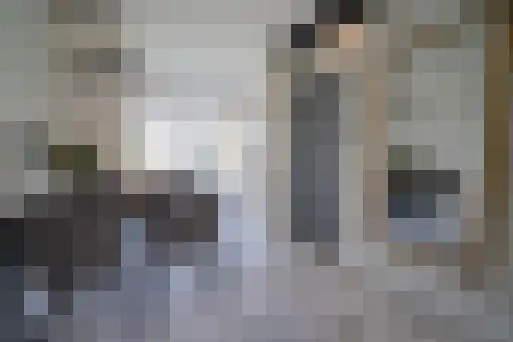 Marconihof 5 Beverwijk thumbnail 6