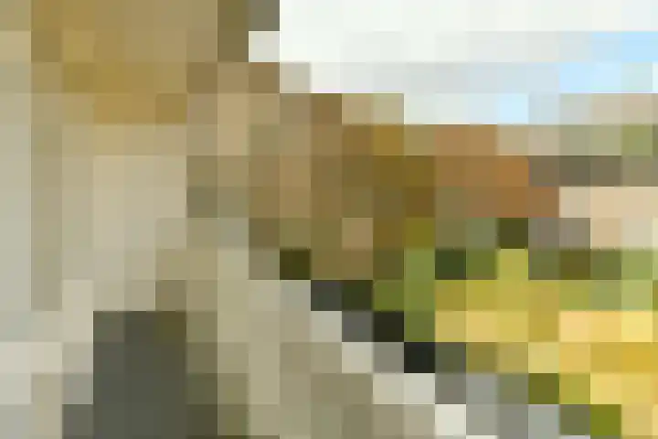 Marcusstraat 19 A Amsterdam thumbnail 11