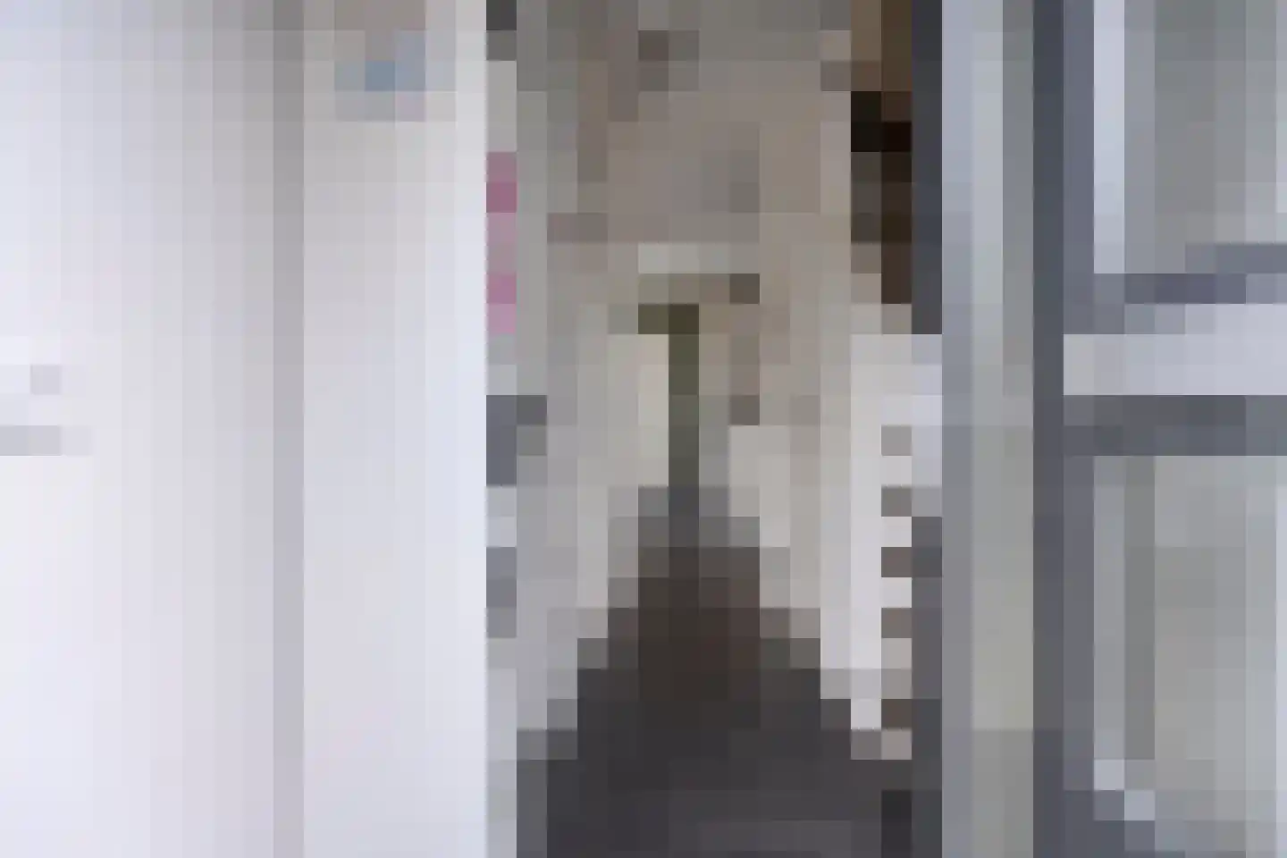 Marderleane 43 Rijs thumbnail 13
