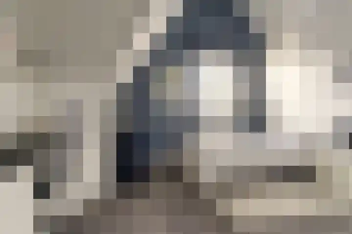 Marderleane 43 Rijs thumbnail 19