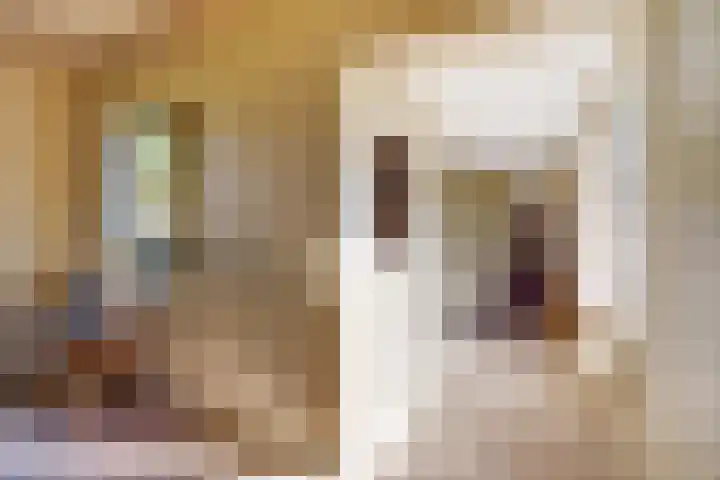 Marderleane 43 Rijs thumbnail 20