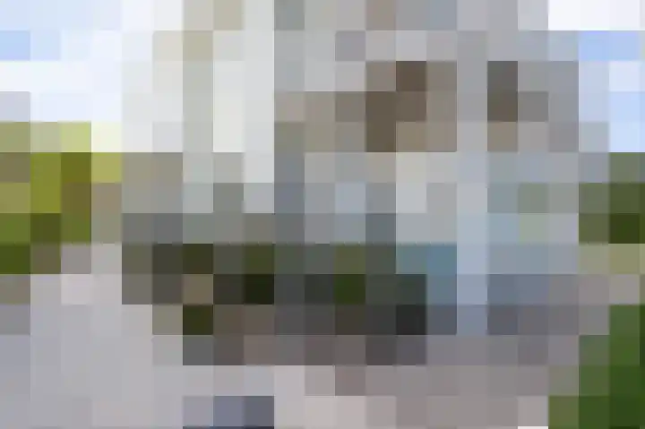 Marderleane 43 Rijs thumbnail 27