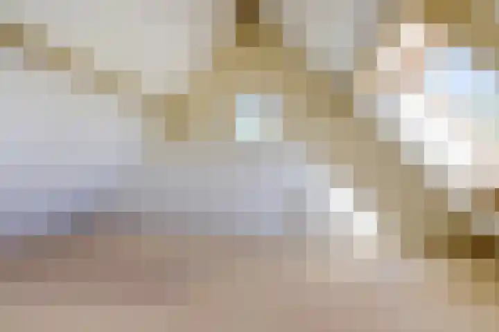Marderleane 43 Rijs thumbnail 28
