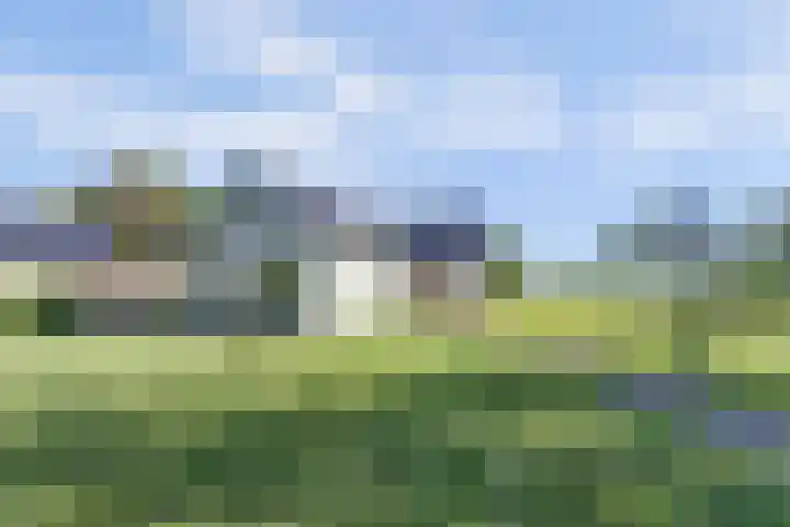 Marderleane 43 Rijs thumbnail 33