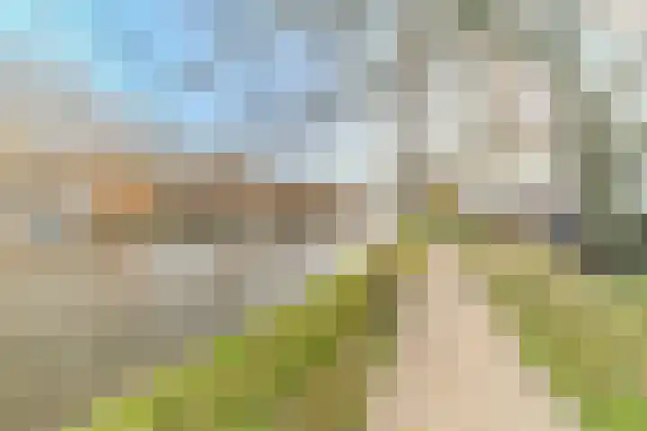 Marderleane 43 Rijs thumbnail 34