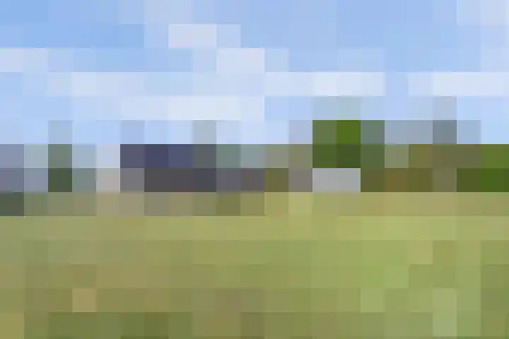 Marderleane 43 Rijs thumbnail 34