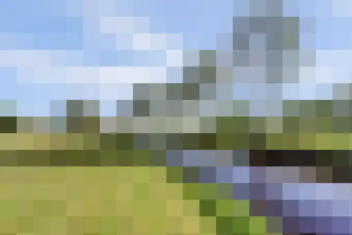 Marderleane 43 Rijs thumbnail 5