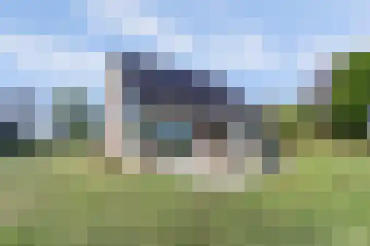 Marderleane 43 Rijs thumbnail 6