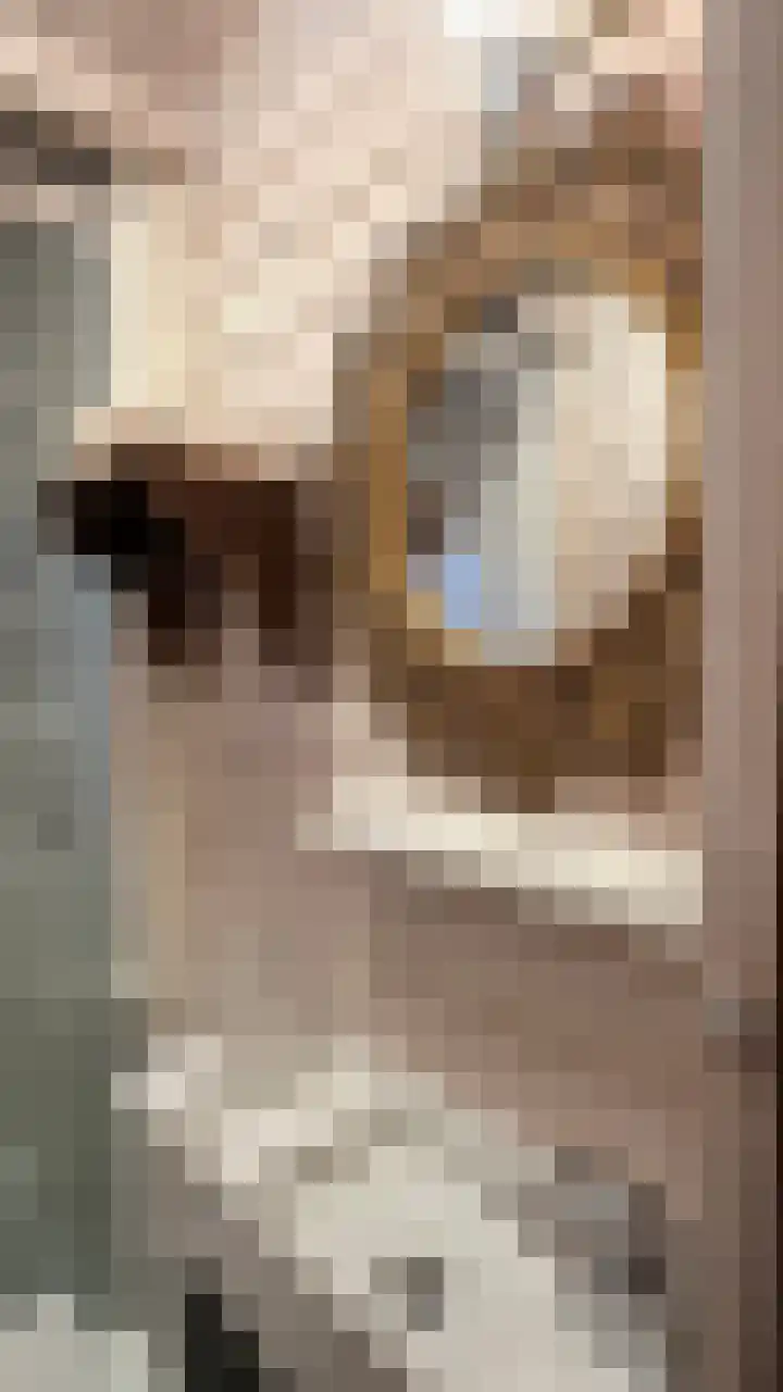 Mardyk 3 C 3 Elahuizen thumbnail 19