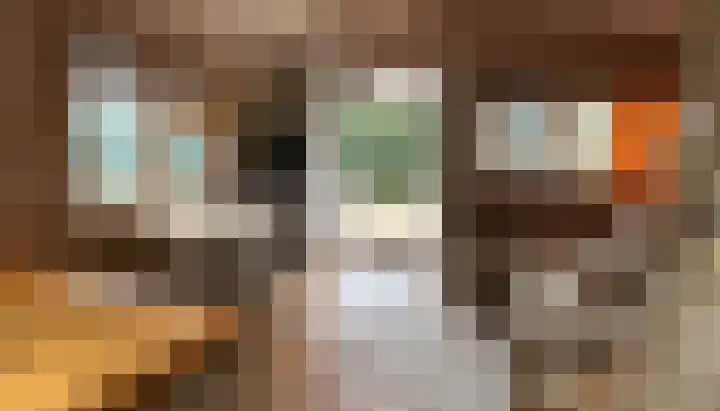 Mardyk 3 C 3 Elahuizen thumbnail 20