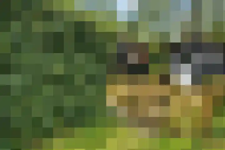 Mardyk 3 C 3 Elahuizen thumbnail 7