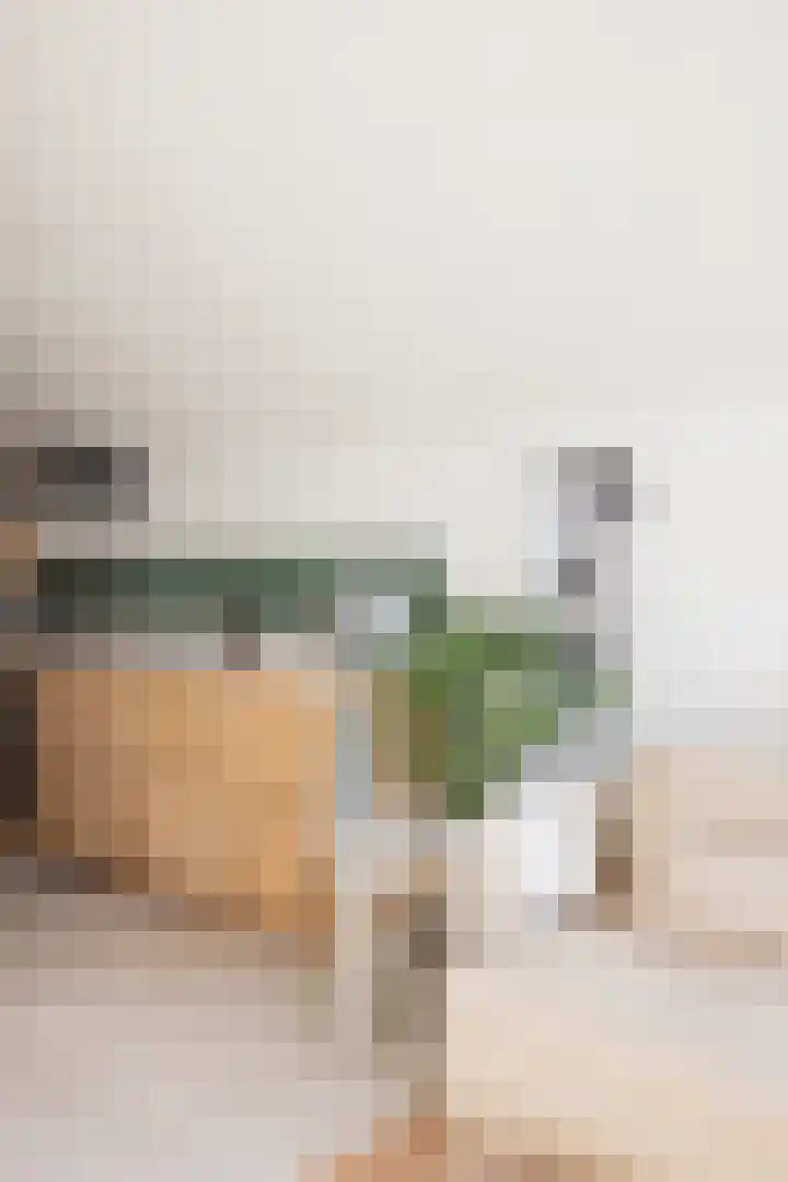 Mardyk 3 C 7 Elahuizen thumbnail 13
