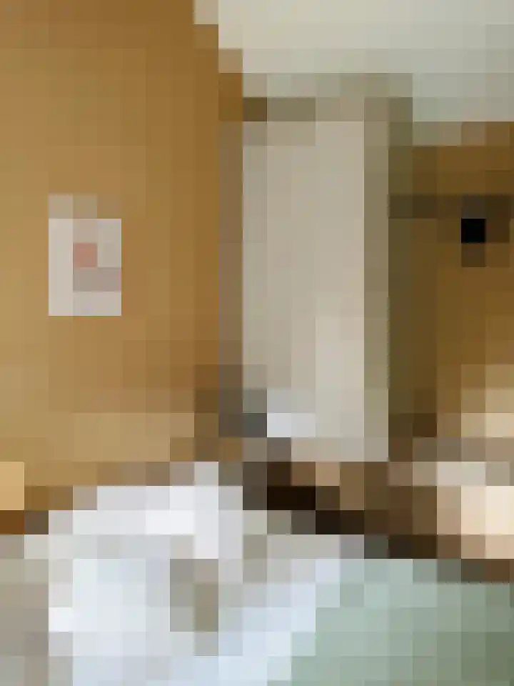 Mardyk 3 C 7 Elahuizen thumbnail 15