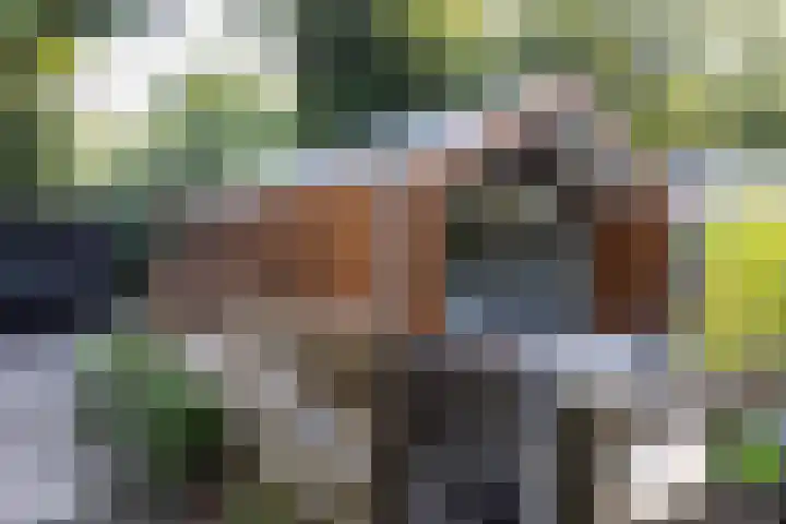 Mardyk 3 C 7 Elahuizen thumbnail 33