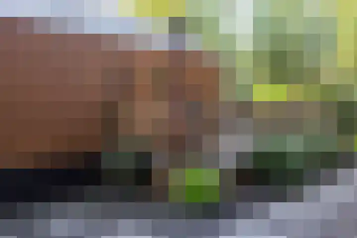 Mardyk 3 C 7 Elahuizen thumbnail 7