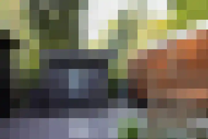 Mardyk 3 C 7 Elahuizen thumbnail 8