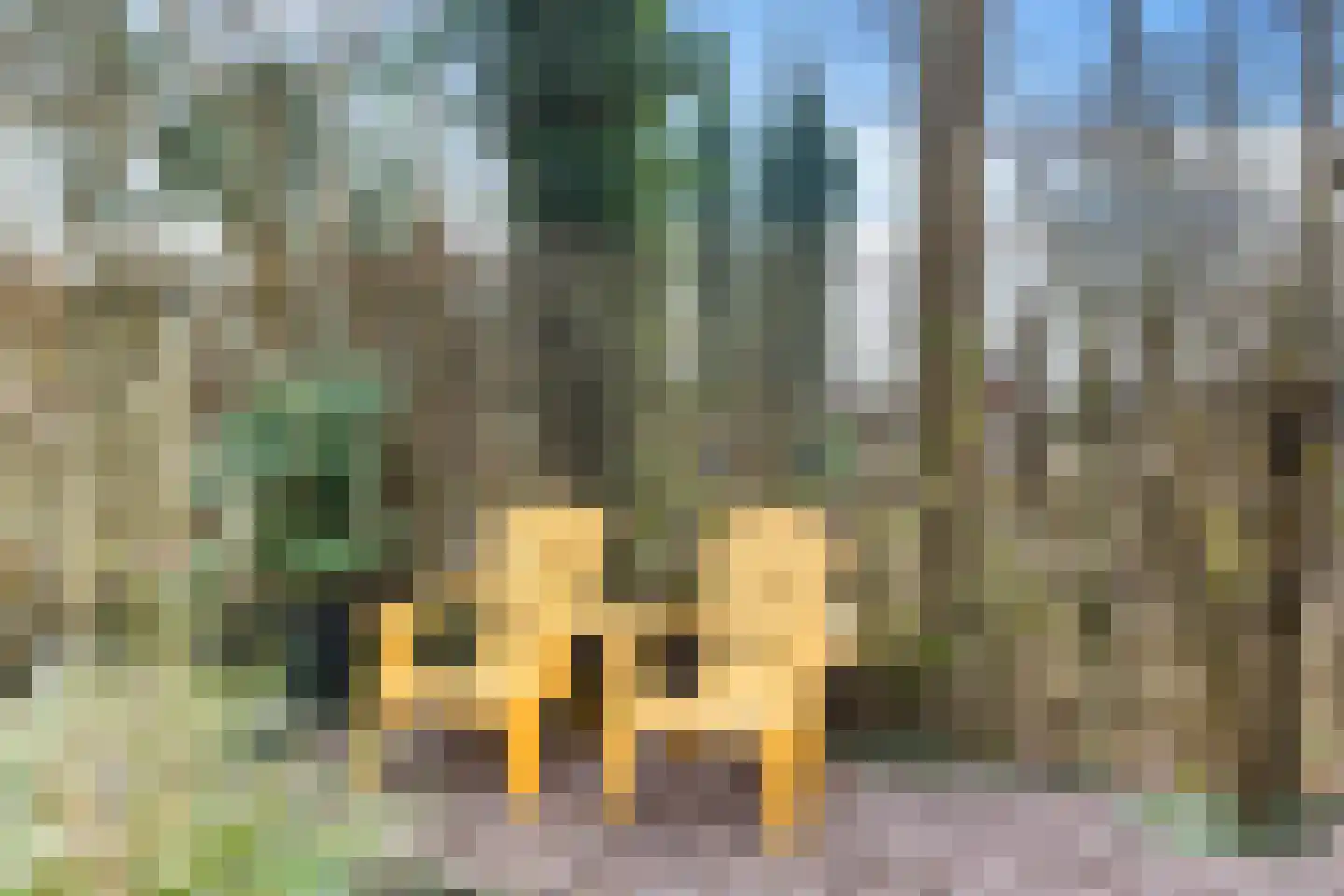 Mardyk 3 E 6 Elahuizen thumbnail 39