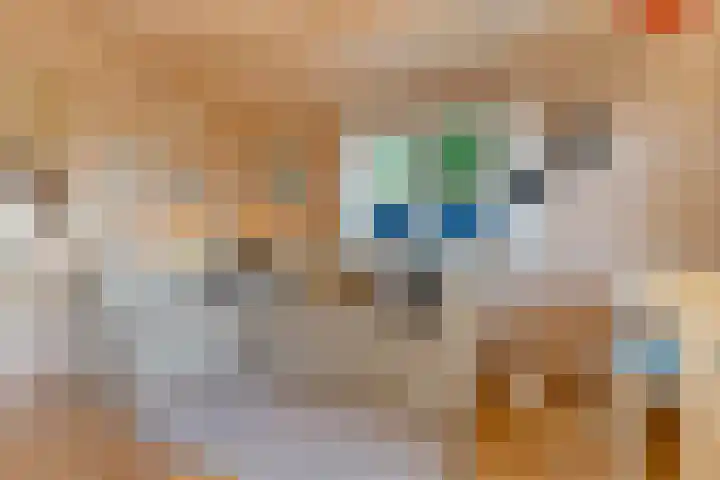 Mardyk 3 G 4 Elahuizen thumbnail 12