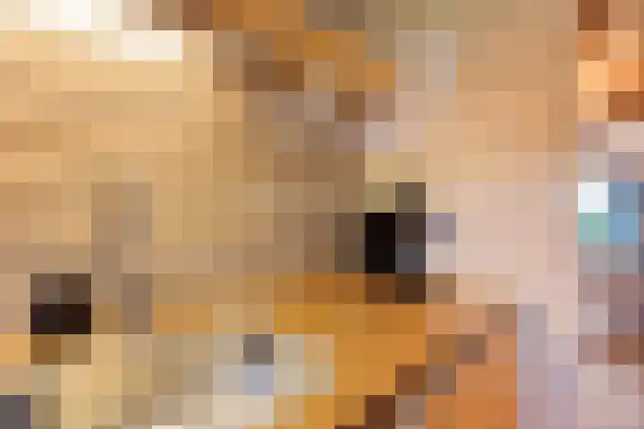 Mardyk 3 G 4 Elahuizen thumbnail 15