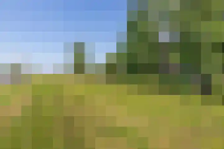 Mardyk 3 G 4 Elahuizen thumbnail 34