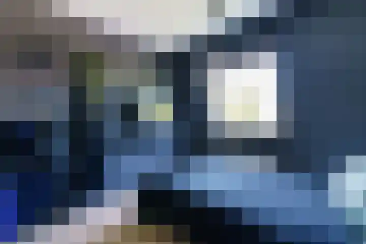 Mare 58 Pijnacker thumbnail 12