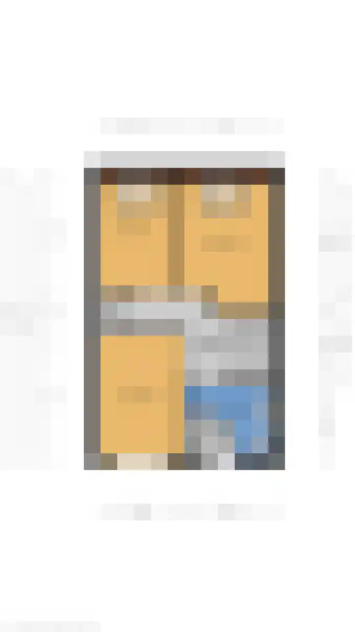 Mare 58 Pijnacker thumbnail 18