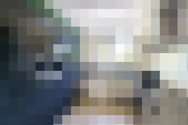 Mare 58 Pijnacker foto 3