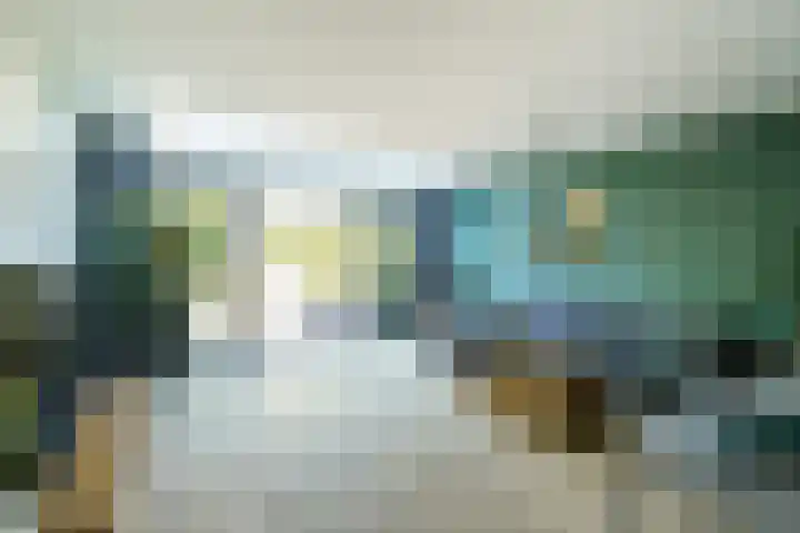 Mare 58 Pijnacker thumbnail 5