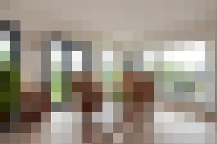 Mare 66 Pijnacker thumbnail 10