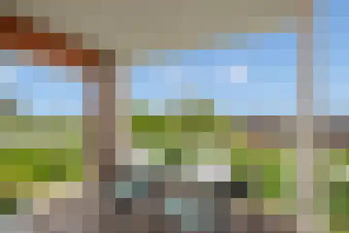 Mare 66 Pijnacker thumbnail 11