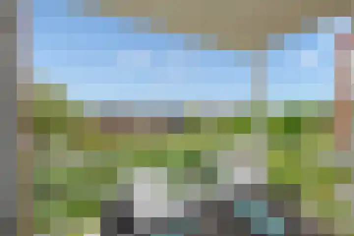 Mare 66 Pijnacker thumbnail 12