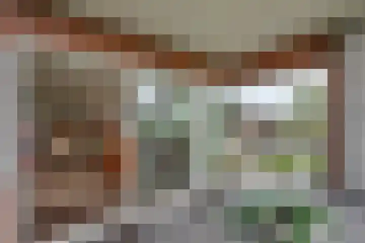 Mare 66 Pijnacker thumbnail 13