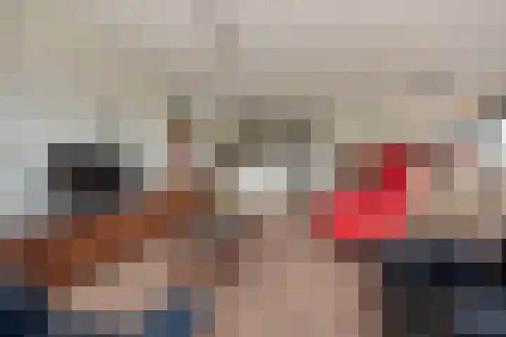 Mare 66 Pijnacker thumbnail 15