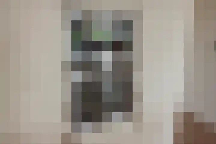 Mare 66 Pijnacker thumbnail 19