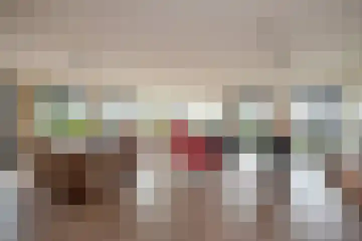 Mare 66 Pijnacker foto 2