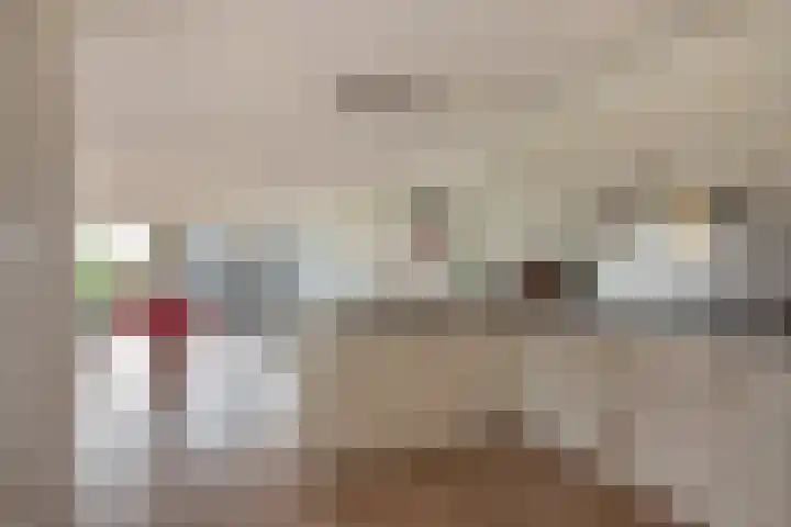 Mare 66 Pijnacker thumbnail 20