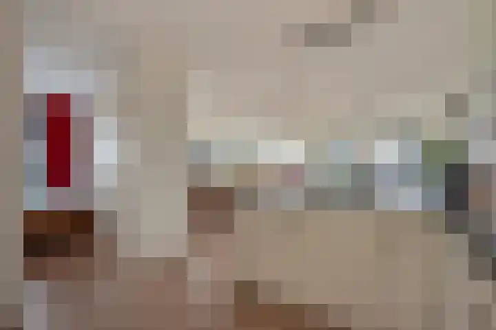 Mare 66 Pijnacker thumbnail 21