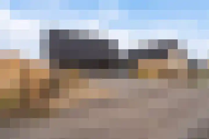 Mare 66 Pijnacker thumbnail 22