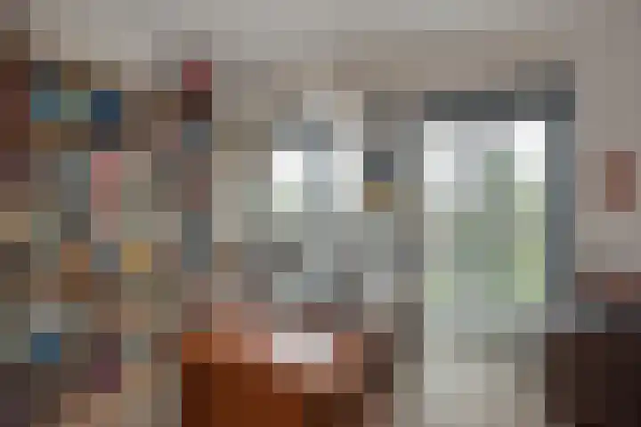 Mare 66 Pijnacker thumbnail 24